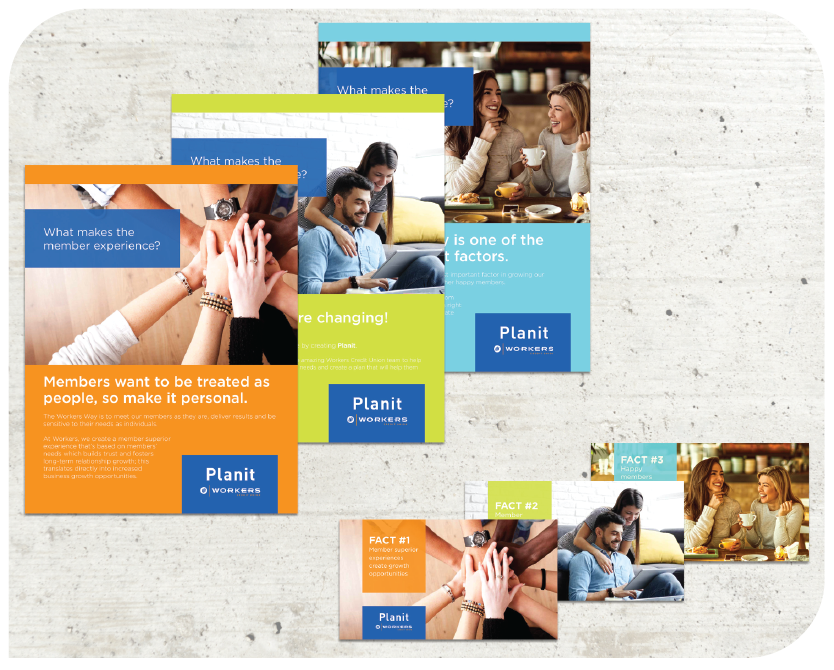 Wedgewood-Advertising-Mailer-Campaign-Design Wedgewood Graphic Design | Advertising Mailer Campaign Design